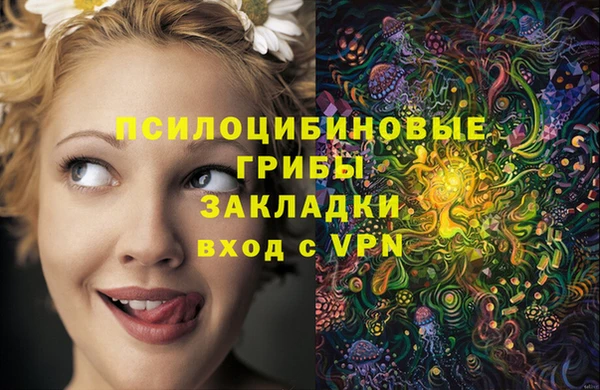 хмурый Армянск