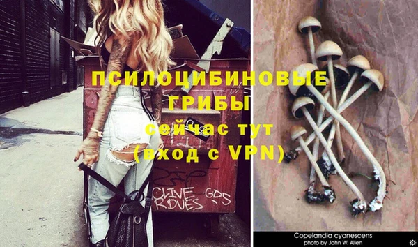 дурь Арсеньев