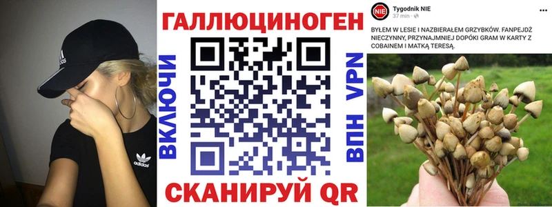 Псилоцибиновые грибы Psilocybe  kraken рабочий сайт  Сертолово  купить  